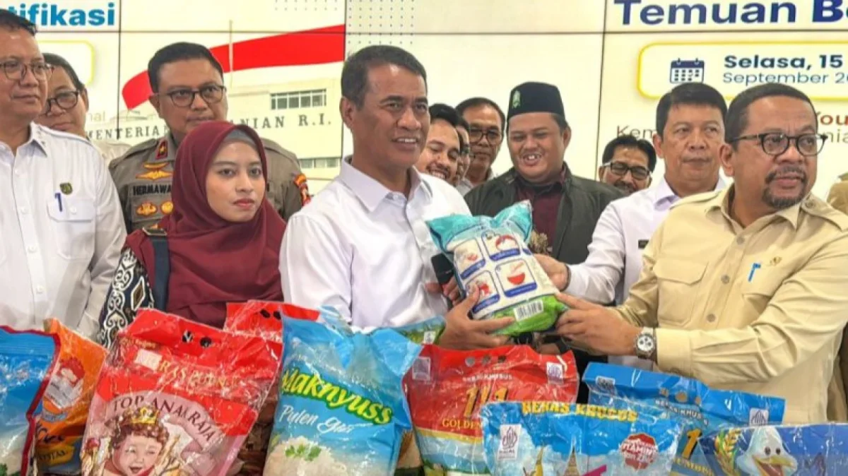 dok viva